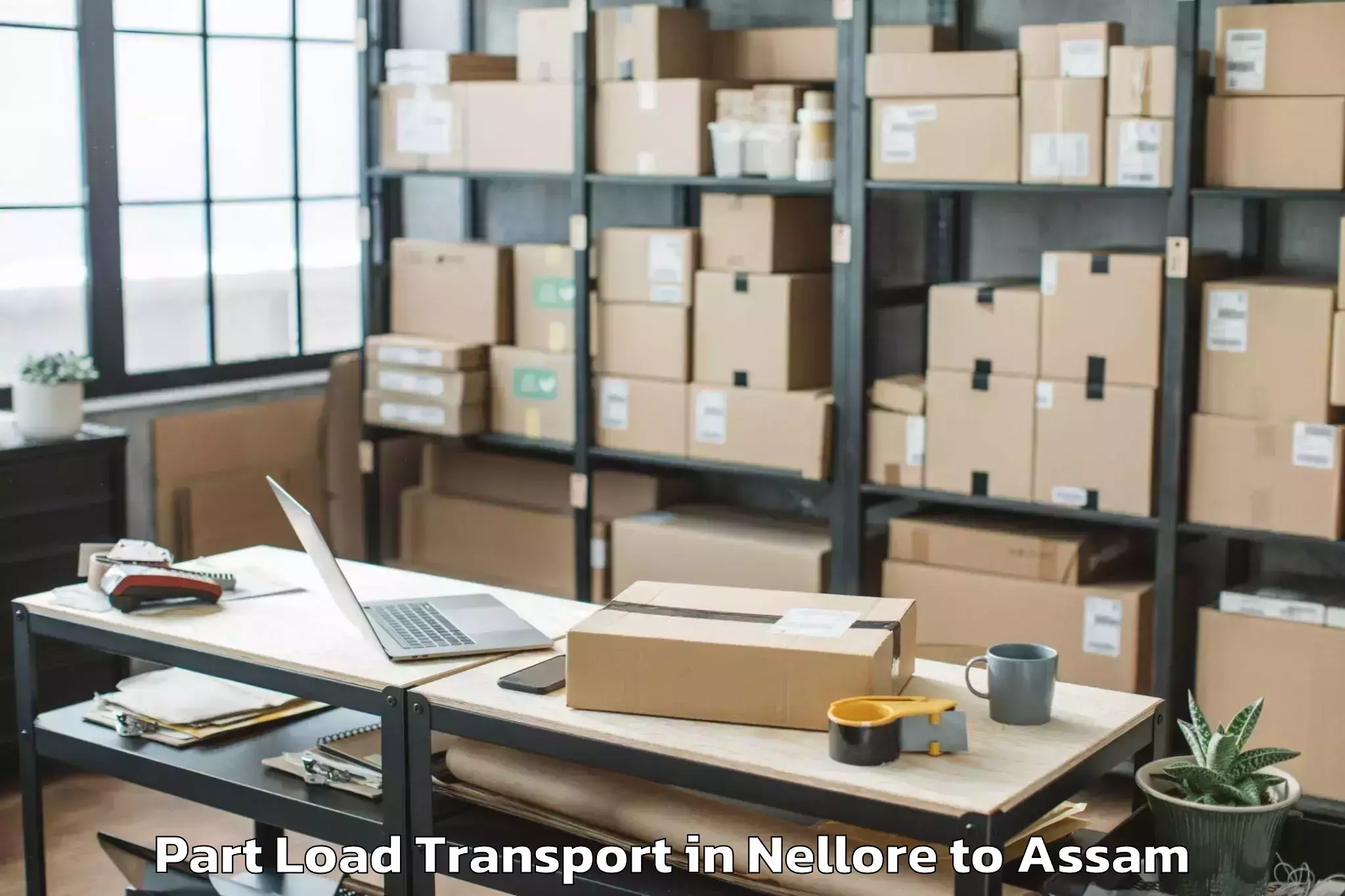 Book Nellore to Tezpur University Tezpur Part Load Transport Online